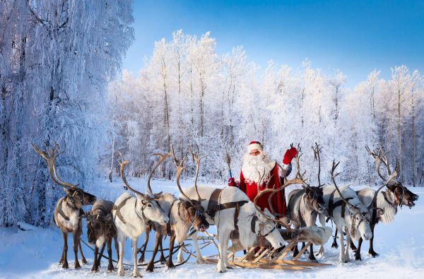 Kelionė į Laplandiją pas Kalėdų senelį 6d.