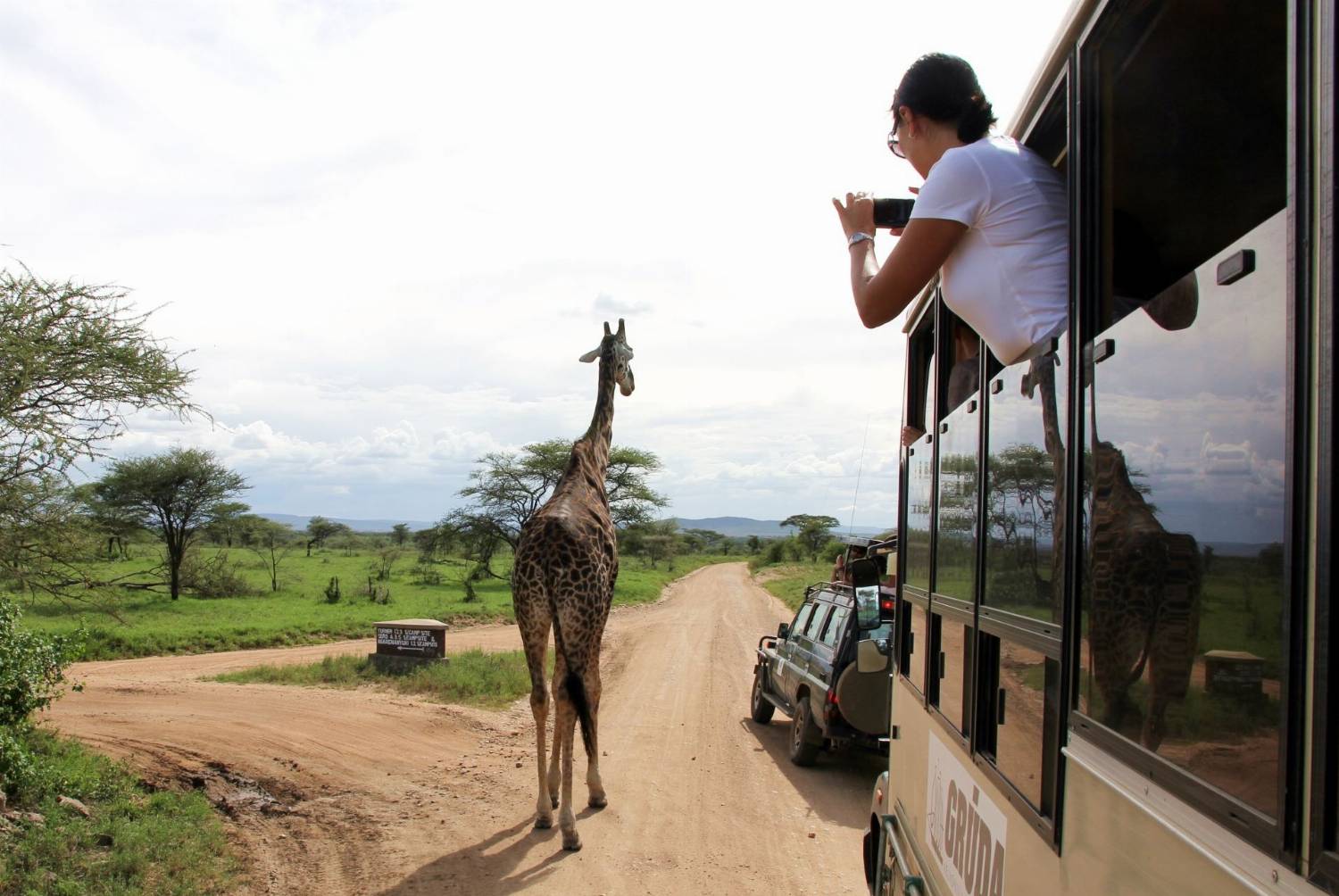 Safaris Serengečio parke