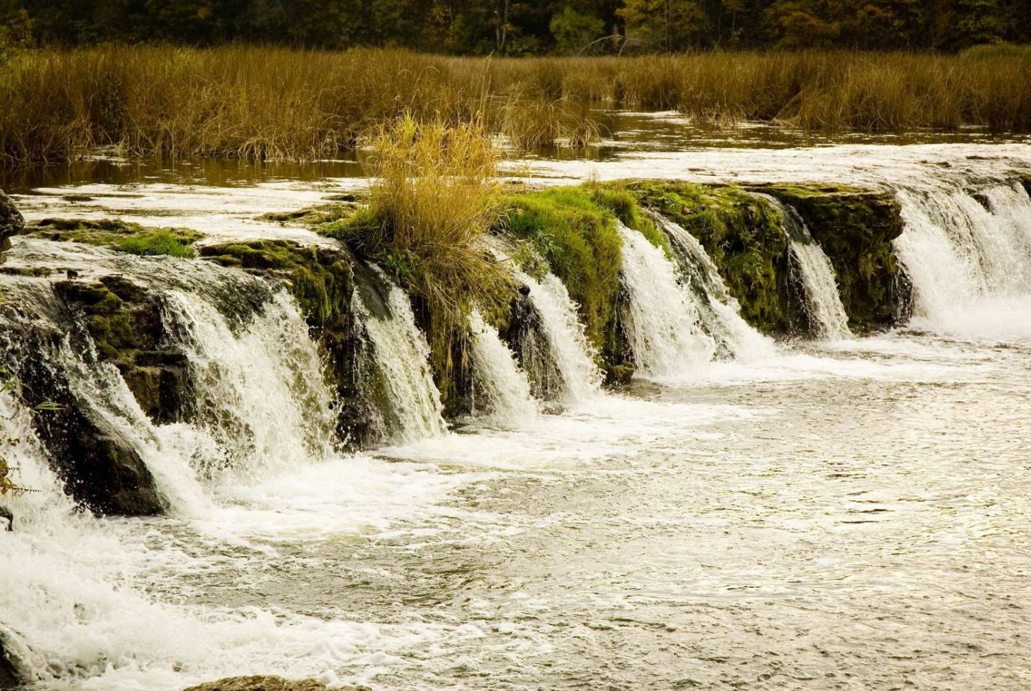 Krioklys, Latvija