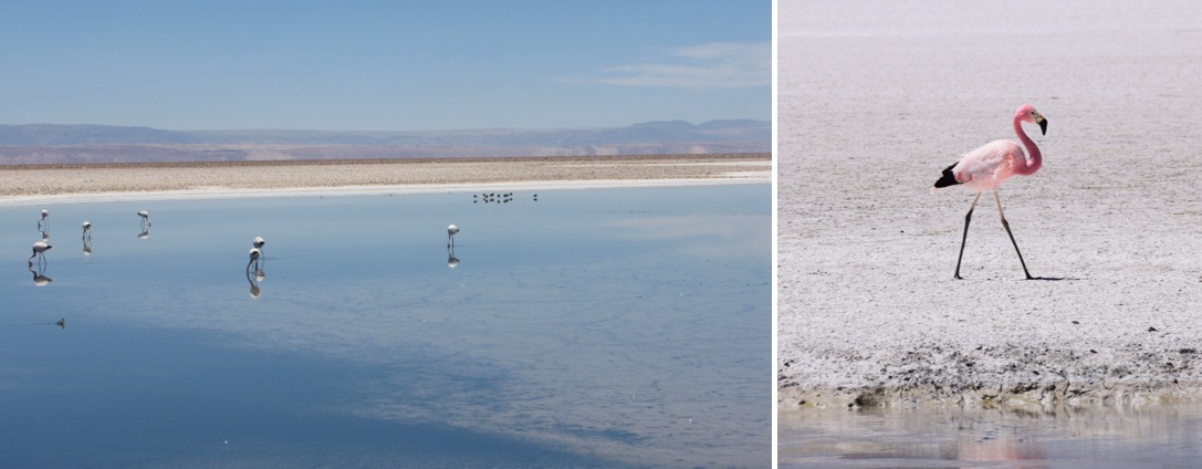 Salar de Atakama