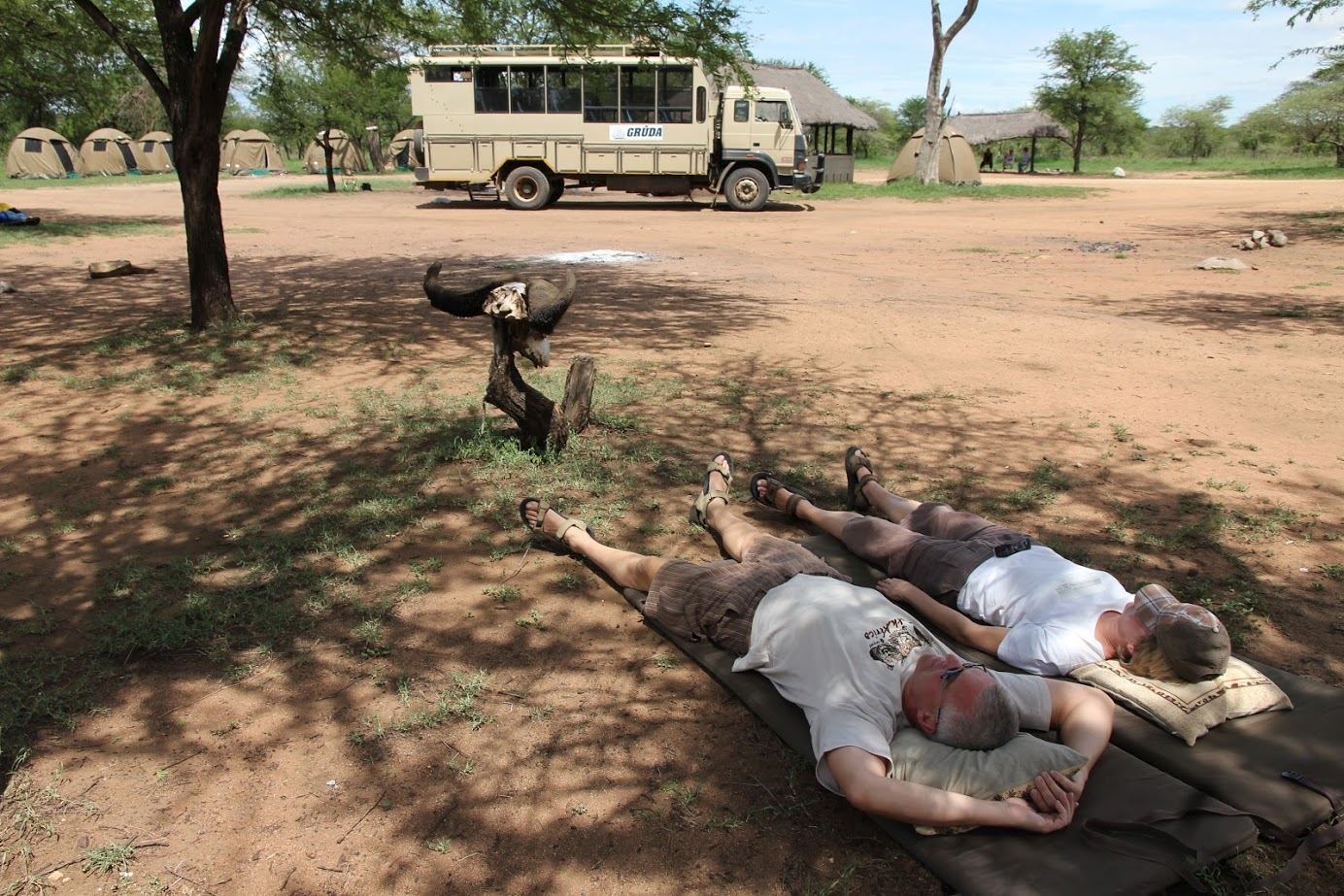 Nacionaliniame parke Tanzanijoje