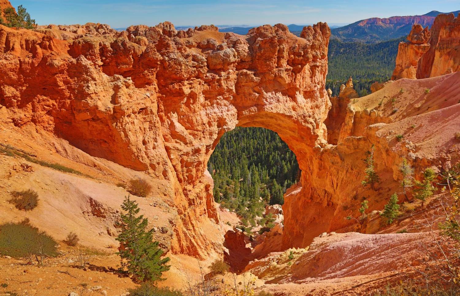 Bryce canyon national park in Utah, USA