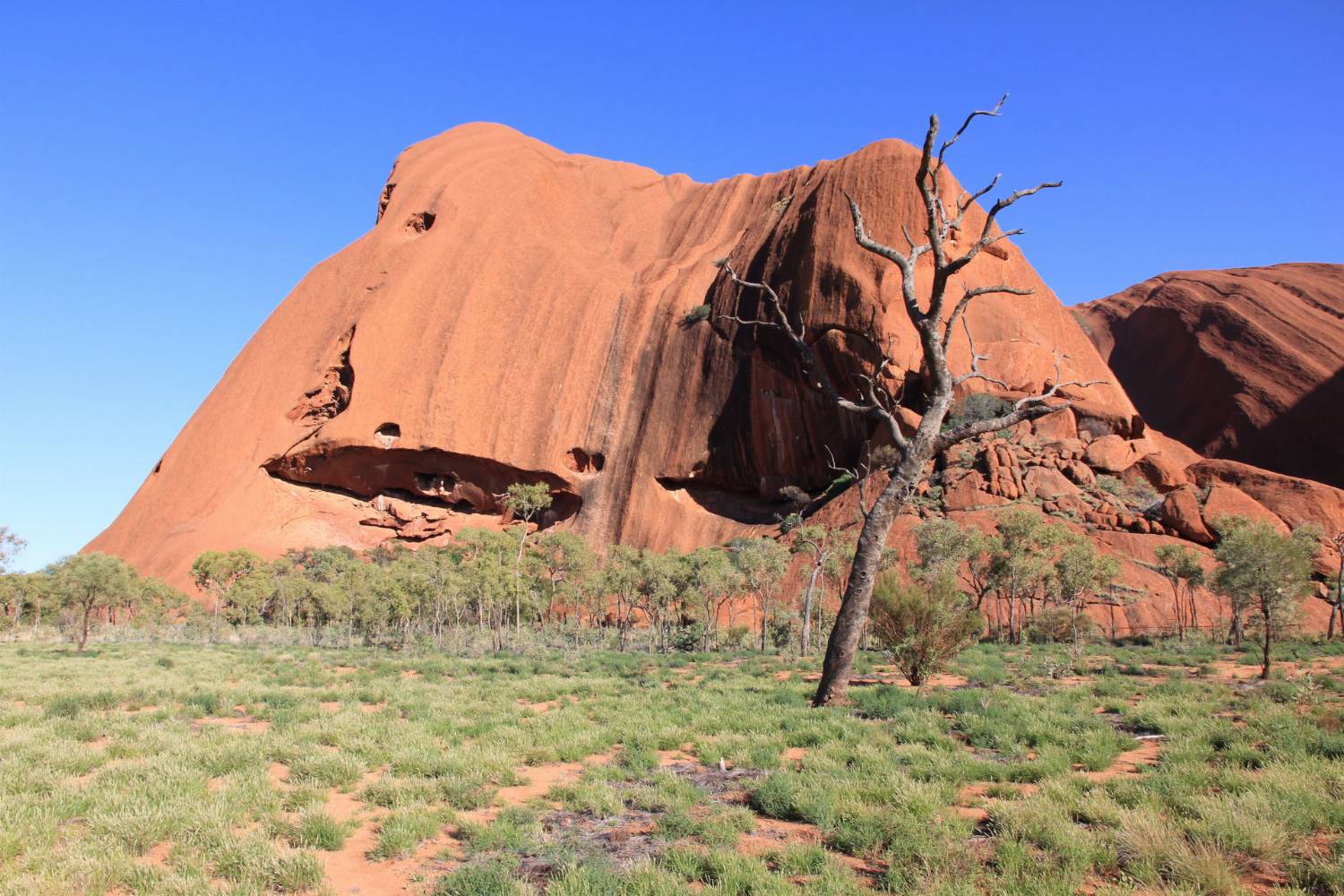Uluru