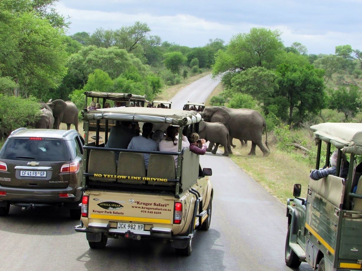 Safaris nacionaliniame parke Pietų Afrikos Respublikoje