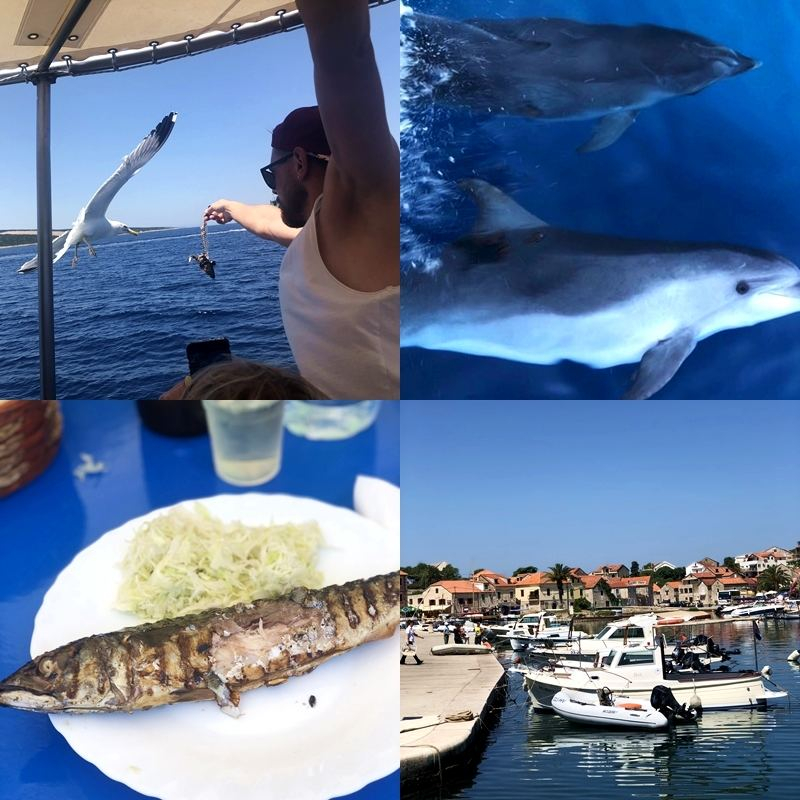 Išvyka laivu Kroatijoje