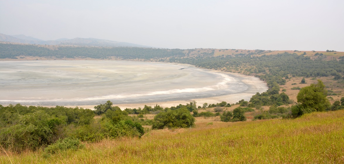 Afrikos savana