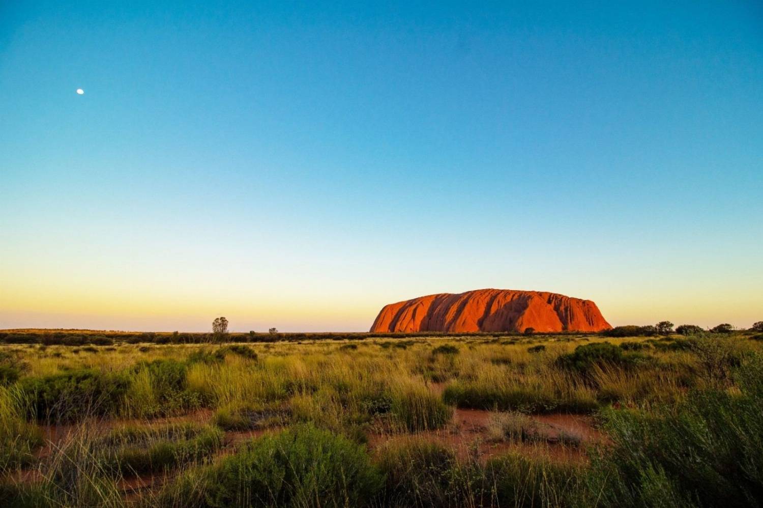 Uluru peizažas