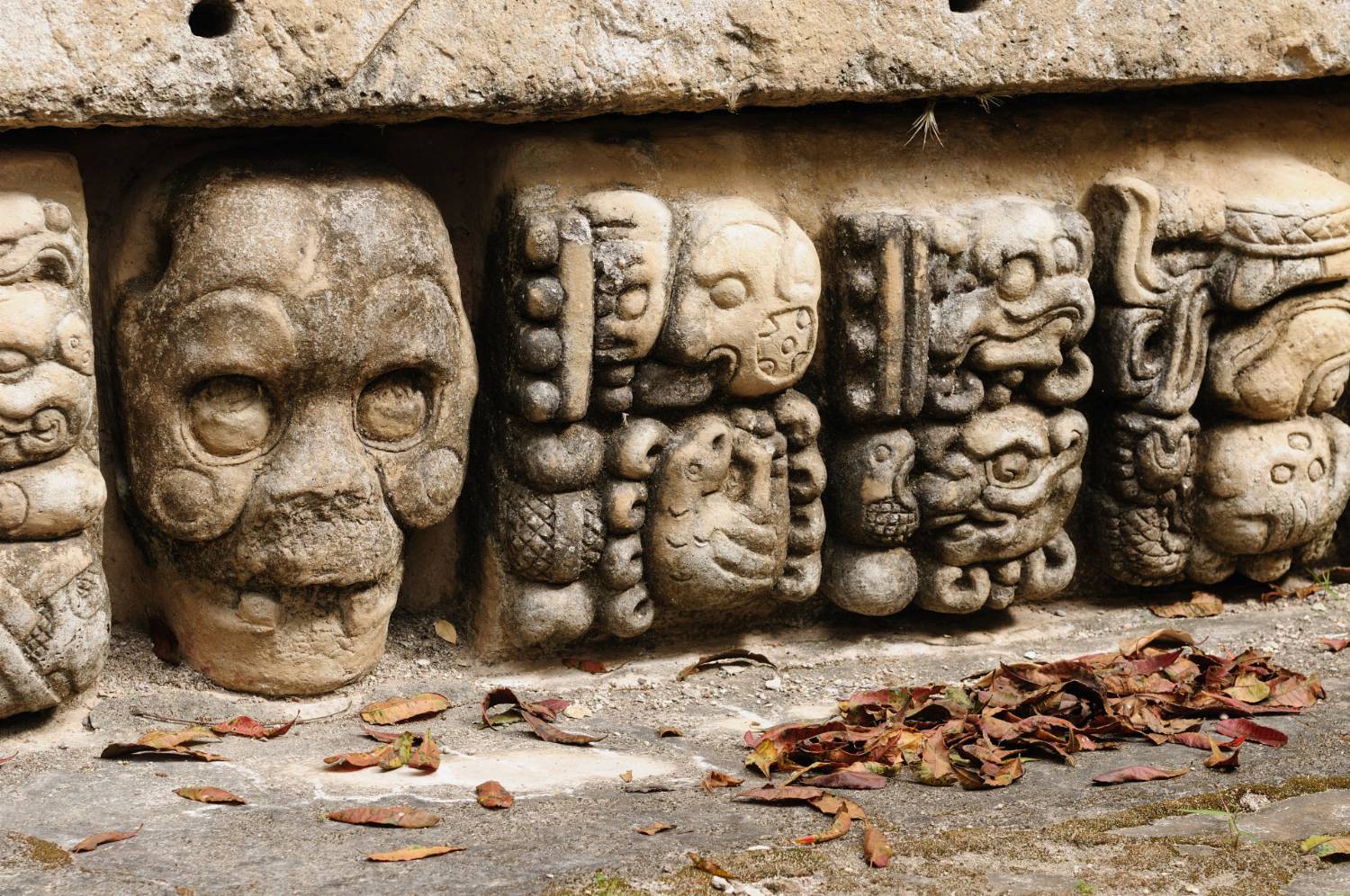 Kopano archeologinė radimvietė