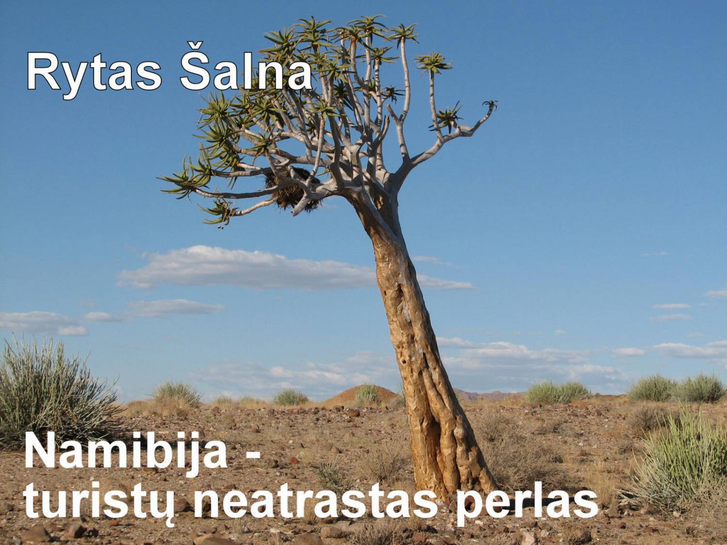 Rytas Šalna. Namibija - turistų neatrastas perlas.