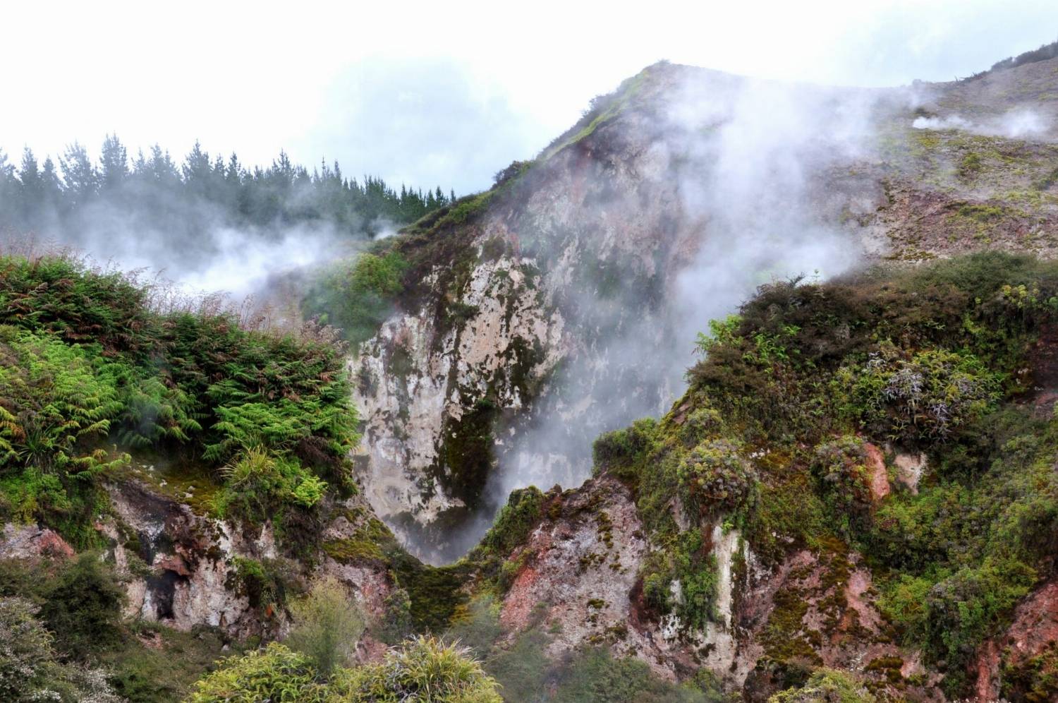 Garuojanti žemė, Naujoji Zelandija