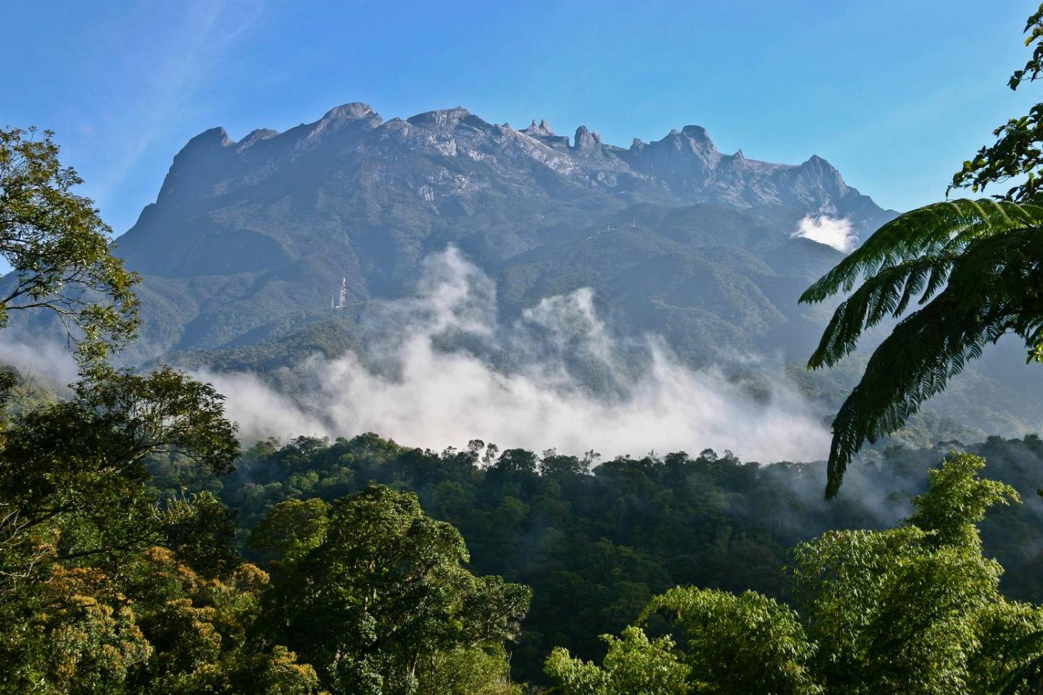 Kota Kinabalu (Mount Kinabalu), Borneo 