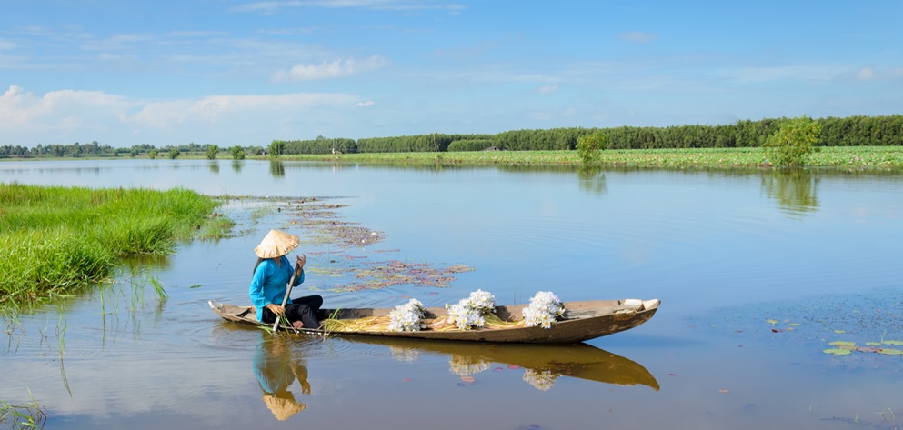 Mekongo Delta