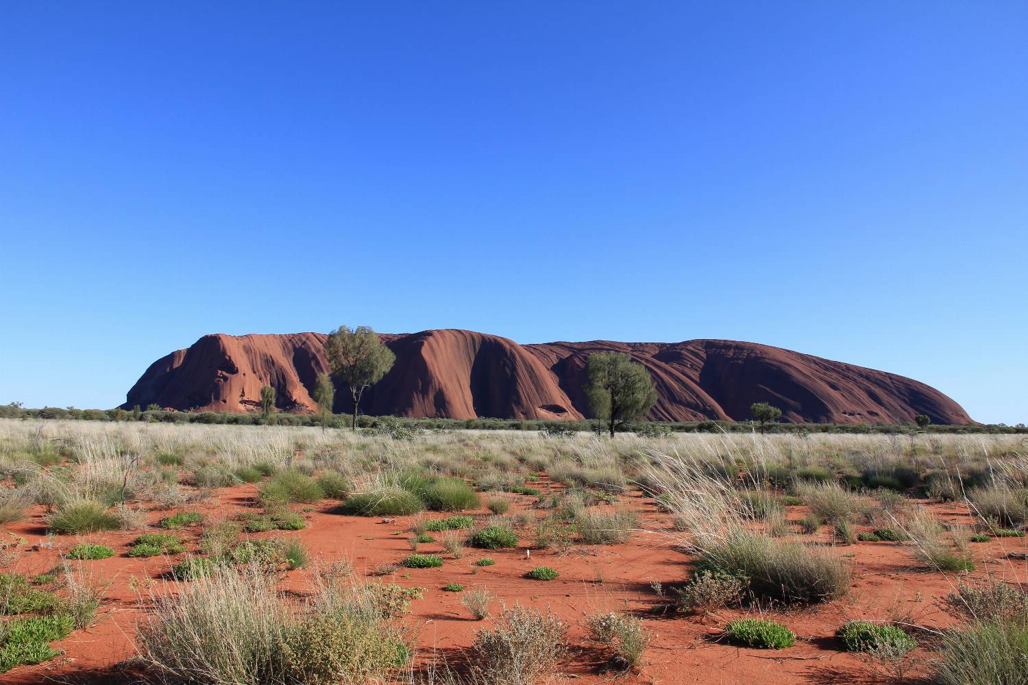 Urulu, Australija