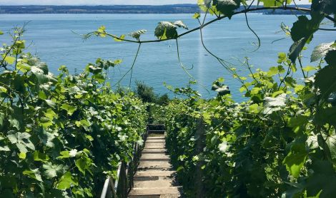 Vokietija. Mersburgas.