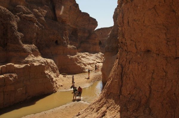 Namibija - „šypsena Afrikos veide“. Laukinės gamtos nuotykių safaris 13d.