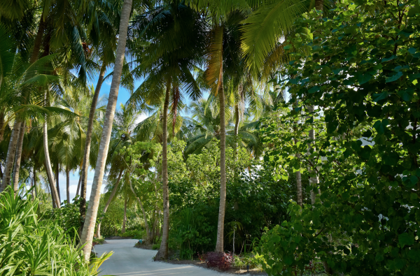 Aktyvios šeimos atostogos Maldyvuose! Skrydis, pervežimas ir 7 n. viešbutyje KANDIMA 5* su pusryčiais ir vakarienėmis plius