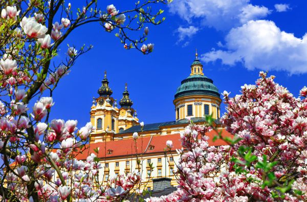 Dunojaus slėnis - Imperatoriškoji Viena 4d.