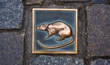 Vokietija. Hamelnas.