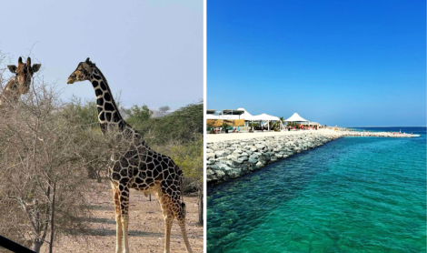 Sir Bani Yas sala (JAE)