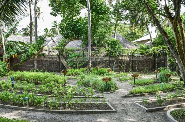 Išsvajotos atostogos Maldyvuose! Skrydis, pervežimas ir 7 n. viešbutyje ADAARAN CLUB RANNALHI 4* su "viskas įskaičiuota"