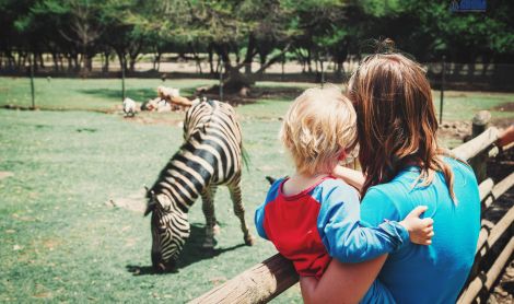 Vokietija. Serengečio parkas.