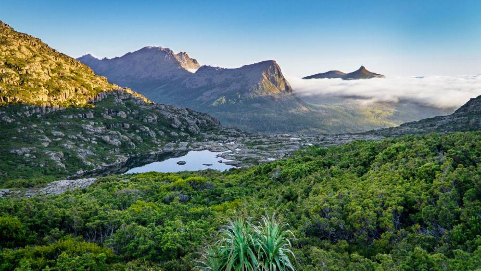 Tolimoji Tasmanija – užburiančios gamtos rojus (I dalis)