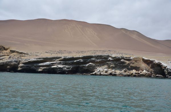 Klasikinė Peru: inkų paslaptys ir Andų didybė, aplankant Vaivorykštinius kalnus ir Amazonės baseino džiungles 14d. (17d.)