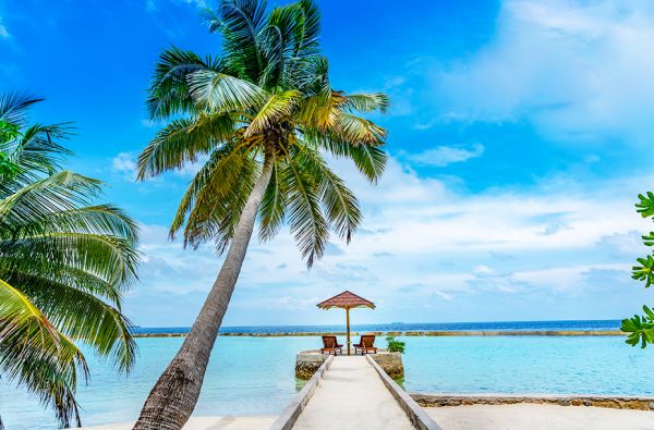 Nepamirštamos atostogos Maldyvuose! Skrydis, pervežimas ir 7 n. viešbutyje ELLAIDHOO MALDIVES BY CINNAMON 4* su "viskas įskaičiuota"
