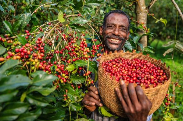 GRŪDOS turas po kontrastingąją Etiopiją. Krikščioniškasis paveldas, įspūdinga gamta, archaiškos gentys 15d.
