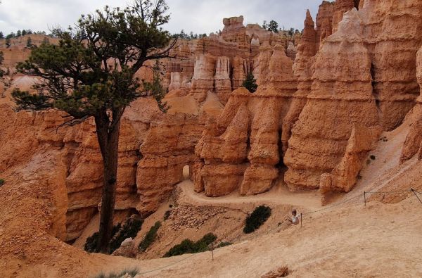 JAV Vakarų ekspresas: siautulingasis Las Vegasas ir pribloškiantys nacionaliniai parkai 9d.