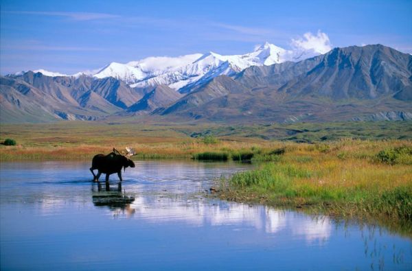 Aliaska (JAV) - Vakarų Kanada 16d.