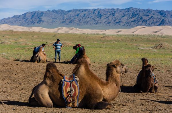 Mongolija. Klajoklių šalies paslaptys – nuo stepių iki mėlyno dangaus 15d.