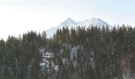 Šveicarija. Berno kantonas.