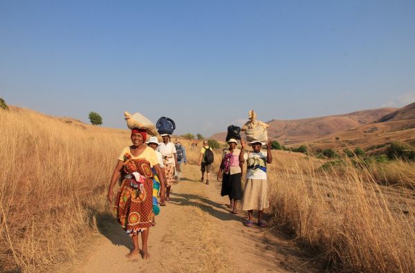 Madagaskaras - Mėnulio sala. Kelionės pratęsimas Reunjone, Mauricijuje, Seišeliuose 17d. (23d.)