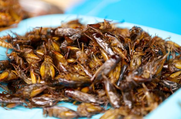 Pažintinis turas po Tailandą su poilsiu Patajoje ir Koh Chang saloje 15d.