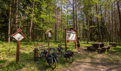 Poškonių pilkapynas