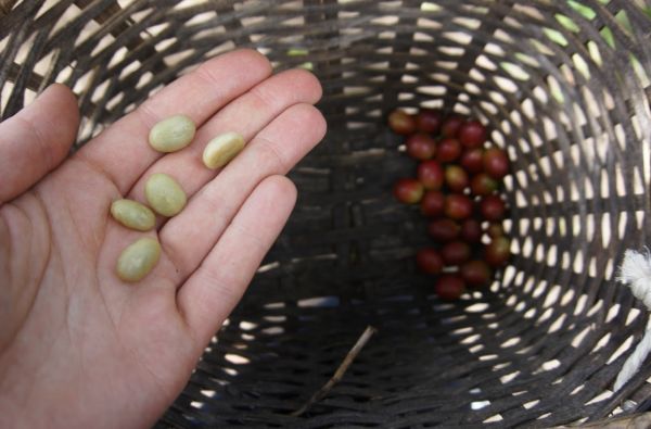 Kolumbija - Ekvadoras. Galapagų salos. Lotynų Amerikos paslaptis 17d.