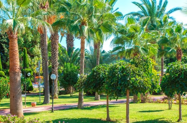 ALANIJA. Saulėtos atostogos. Skrydis, 7n. puikiame viešbutyje LONICERA RESORT & SPA 5* su viskas įskaičiuota PLIUS maitinimu!