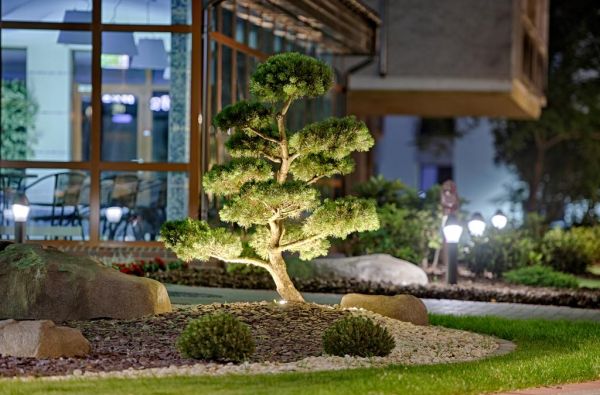 Viešbutis - sanatorija GRADIALI PALANGA 4*