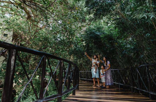 Atpalaiduojančios atostogos Meksikoje!  Skrydis, pervežimas ir 10 n. viešbutyje The Reef Playacar 4* su „viskas įskaičiuota“