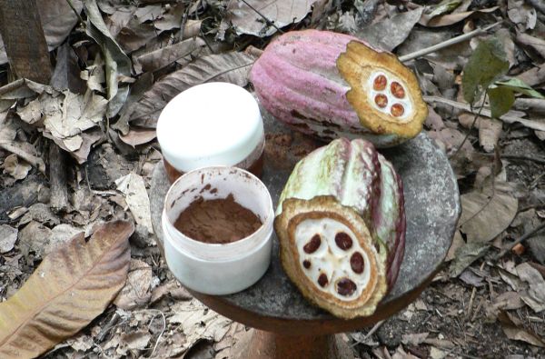 Šri Lanka – Indijos vandenyno perlas, dieviškasis Edeno sodas su poilsiu kurorte prie Indijos vandenyno 13d.