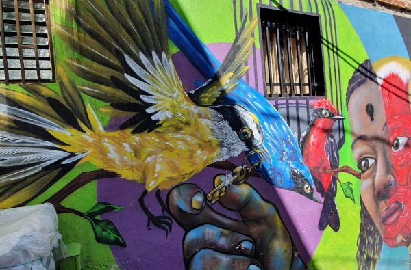 Kolumbija - Ekvadoras. Galapagų salos. Lotynų Amerikos paslaptis 17d.