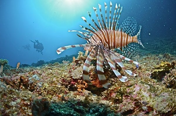 Filipinai – gražiausios salos ir  paplūdimiai. Poilsis ir pramogos Panglao saloje ir El Nido kurorte. Bene plačiausia pažintinė programa 14d.