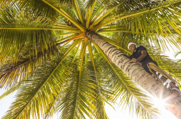 Išskirtinis poilsis Maldyvuose! Skrydis, pervežimas ir 7 n. viešbutyje BAROS MALDIVES 5+* su pusryčiais ir vakarienėmis