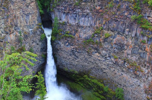 Kanada - Aliaska. Kelionės desertui – Kanados ir Aliaskos pakrančių kruizas* 14d. (21d.*)