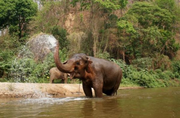 Pažintinis turas po Tailandą su poilsiu Patajoje ir Koh Chang saloje 15d.