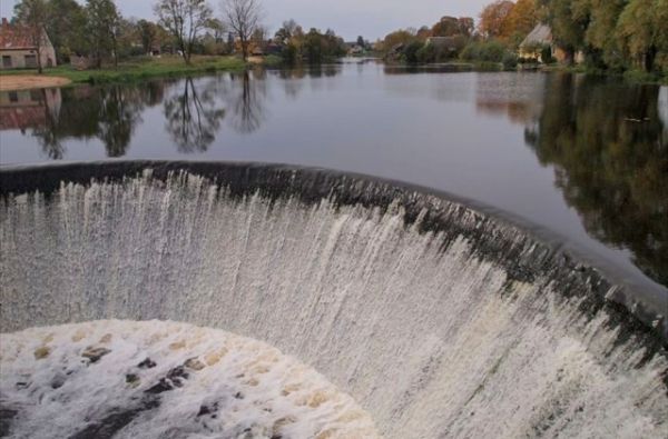 Žagarės vyšnių festivalis 1d.