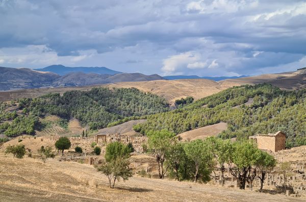 SACHARA su Alžyro prieskoniu 14d.