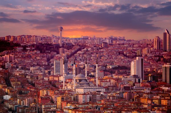 Didingoji Turkija 10d.