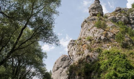 Bulgarija. Stara Planina kalnai.